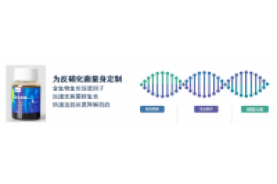 复合碳源对比葡萄糖优势