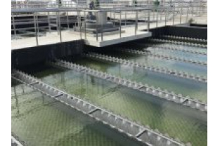 【干货】有机物导致的氨氮超标?这种情况该如何处理呢?