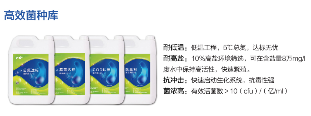 高效菌种库