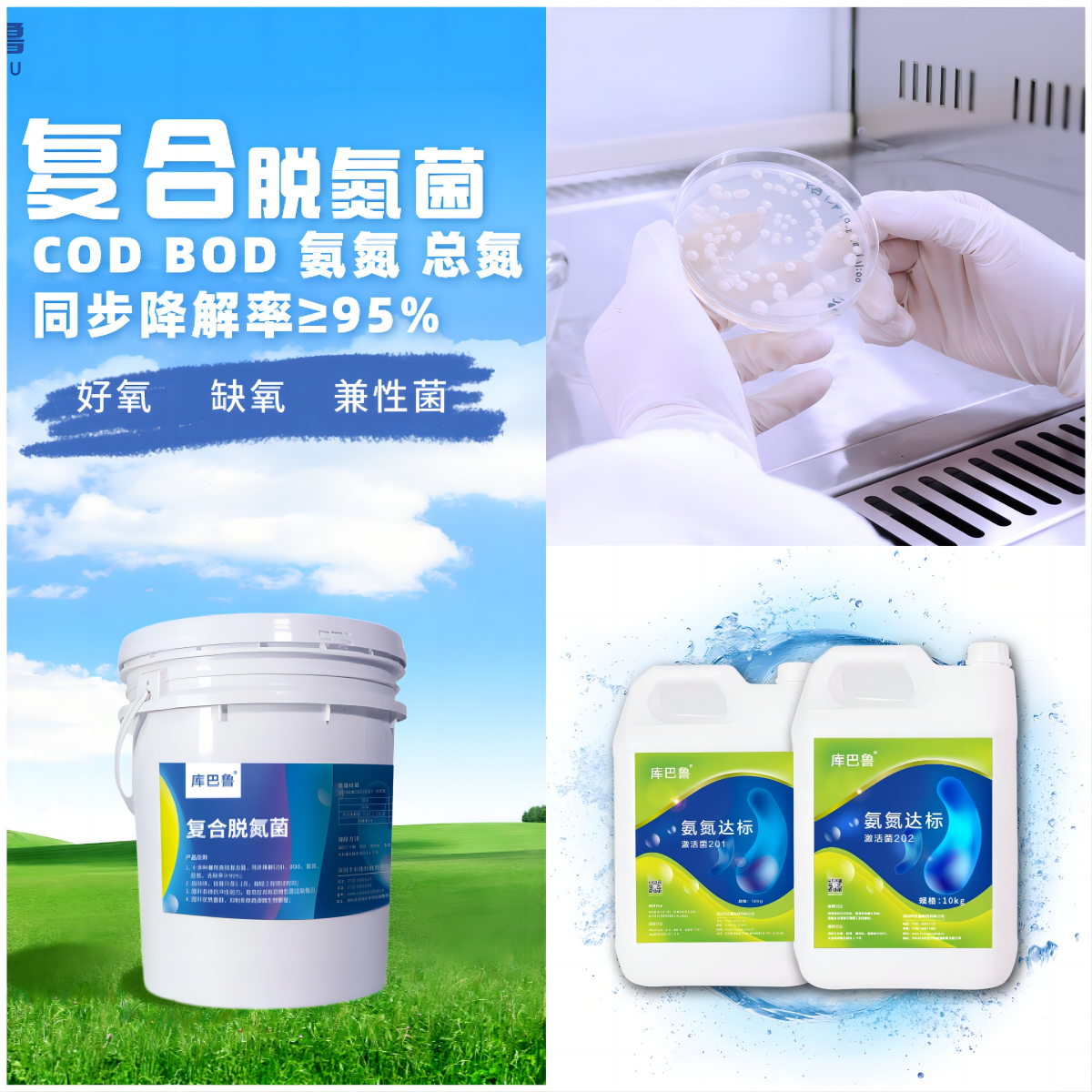 低温复合脱氮菌