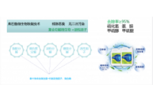 污水厂/垃圾场发臭怎么快速降解