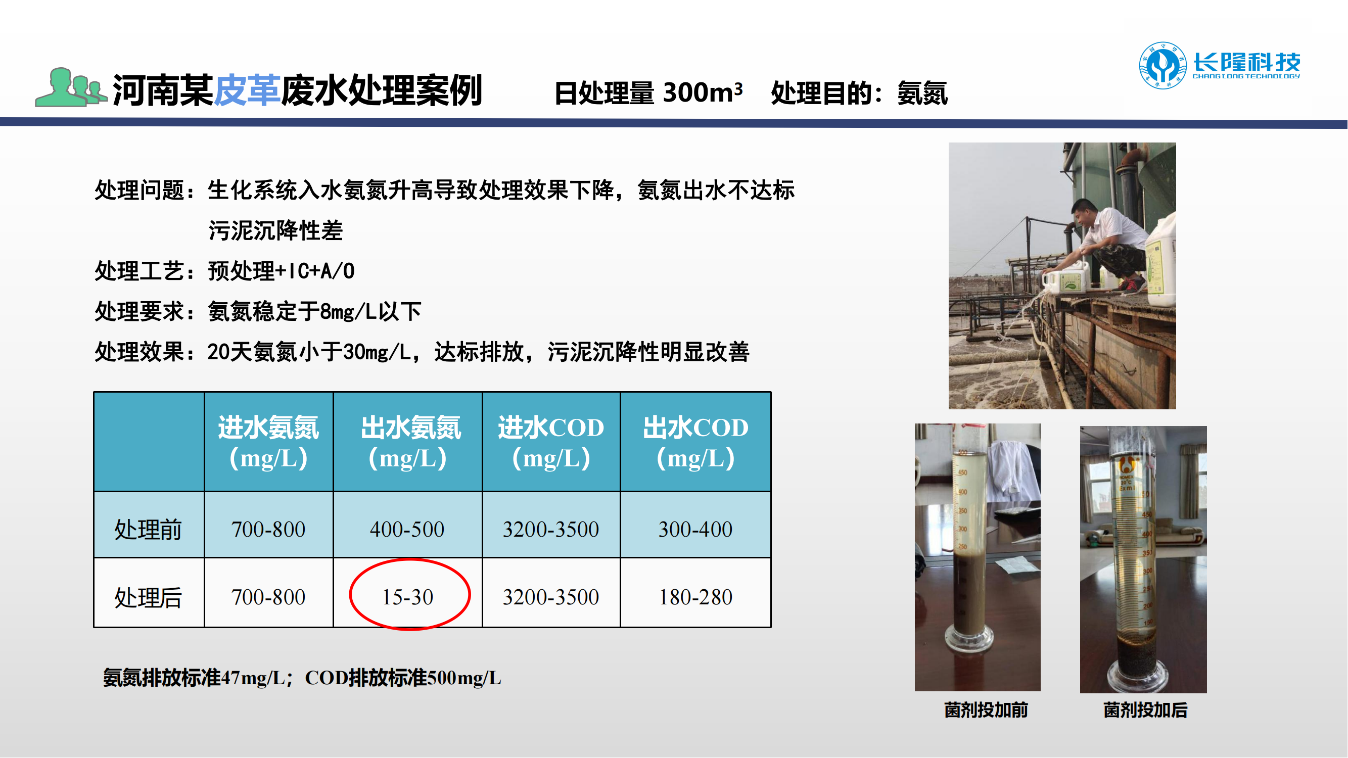 氨氮激活菌应用案例