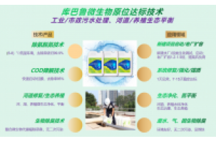 冬季低温,微生物活性低怎么办