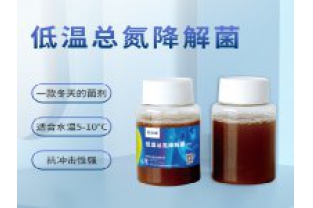 反硝化细菌在污水处理中的具体应用是什么？