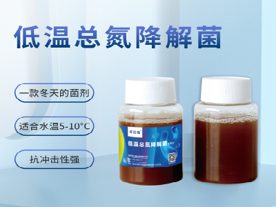 低温总氮降解菌